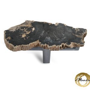 Versteend hout salontafel