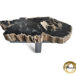 Versteend hout salontafel