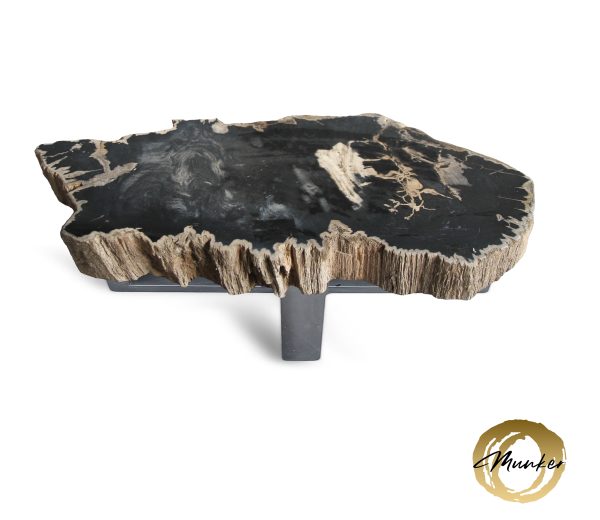 Couchtisch aus versteinertem Holz