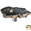 Couchtisch aus versteinertem Holz