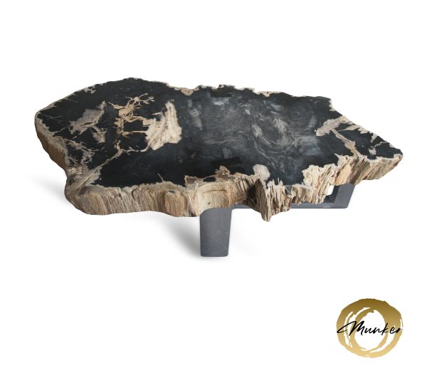 Couchtisch aus versteinertem Holz