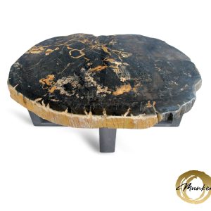 Versteend hout salontafel