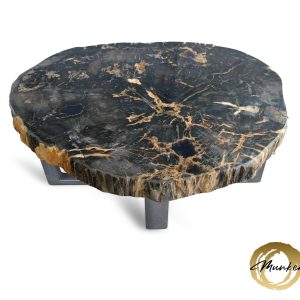 Versteend hout salontafel