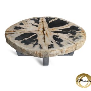 Versteend hout salontafel