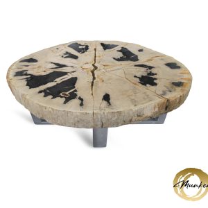 Versteend hout salontafel