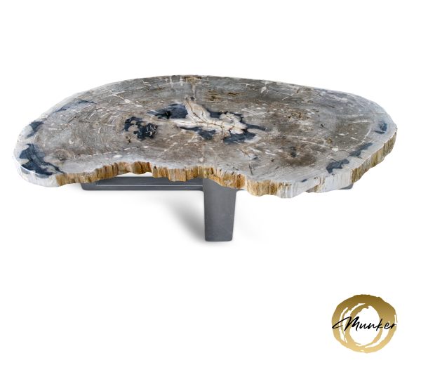 Tisch versteinertes Holz