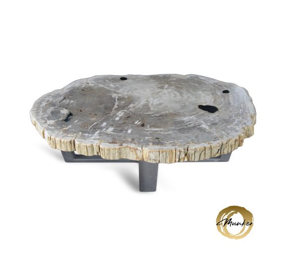 Couchtisch aus versteinertem Holz