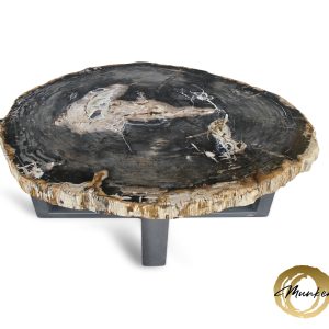 Versteend hout salontafel