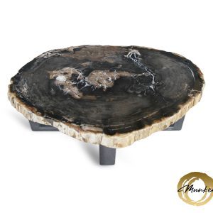 Versteend hout salontafel