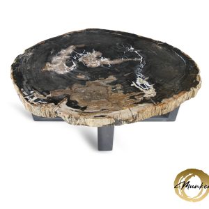 Versteend hout salontafel