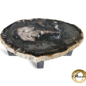 Versteend hout salontafel