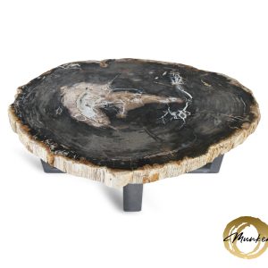 Versteend hout salontafel