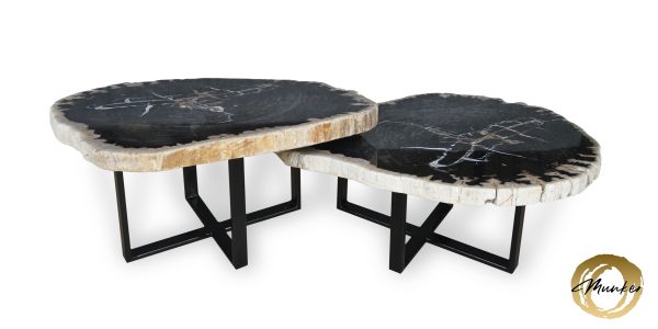 Couchtisch aus versteinertem Holz