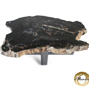 Couchtisch aus versteinertem Holz