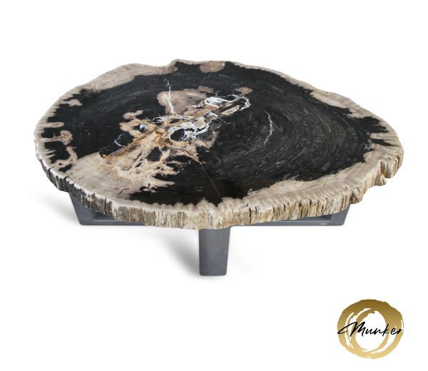 Couchtisch aus versteinertem Holz