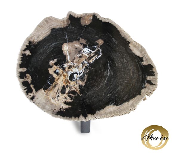 Couchtisch aus versteinertem Holz
