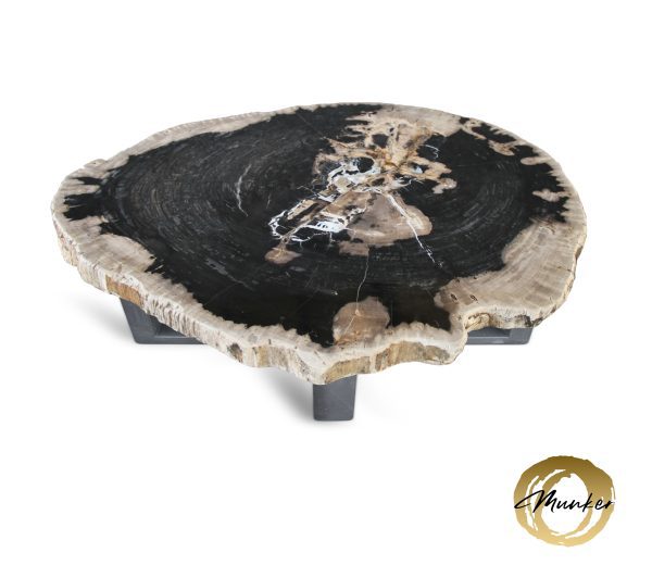 Couchtisch aus versteinertem Holz