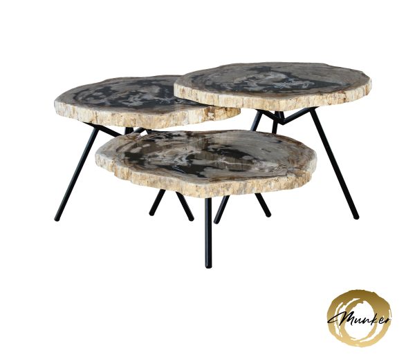Couchtisch aus versteinertem Holz