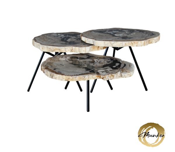 Couchtisch aus versteinertem Holz
