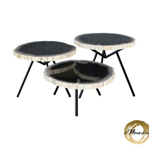 Versteend hout salontafel