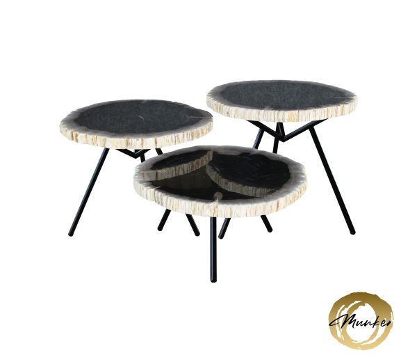 Versteend hout salontafel