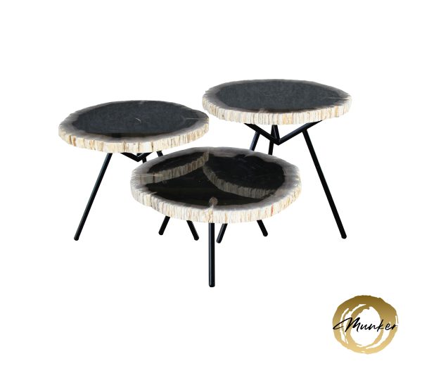 Versteend hout salontafel