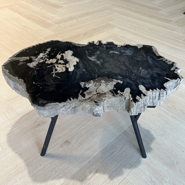 Couchtisch aus versteinertem Holz