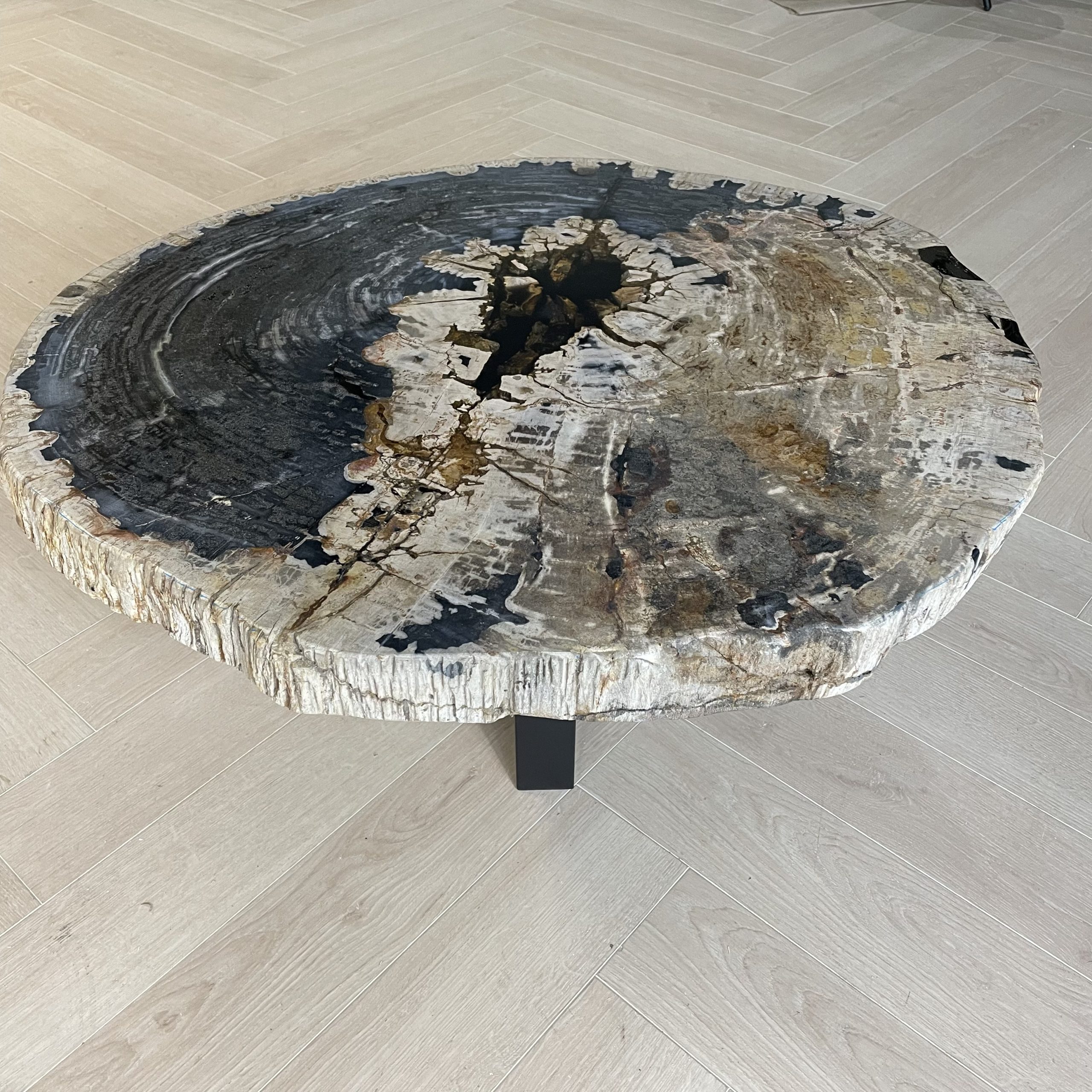 Couchtisch aus versteinertem Holz