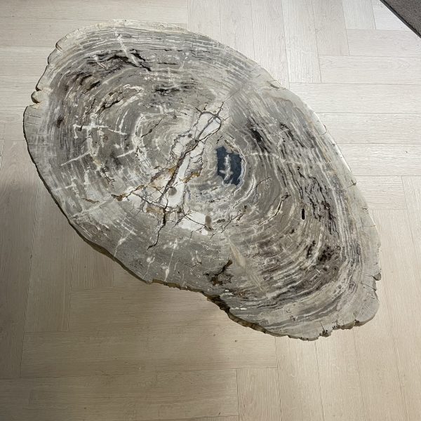 Versteend hout salontafel
