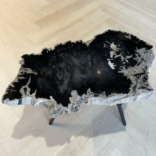 Couchtisch aus versteinertem Holz