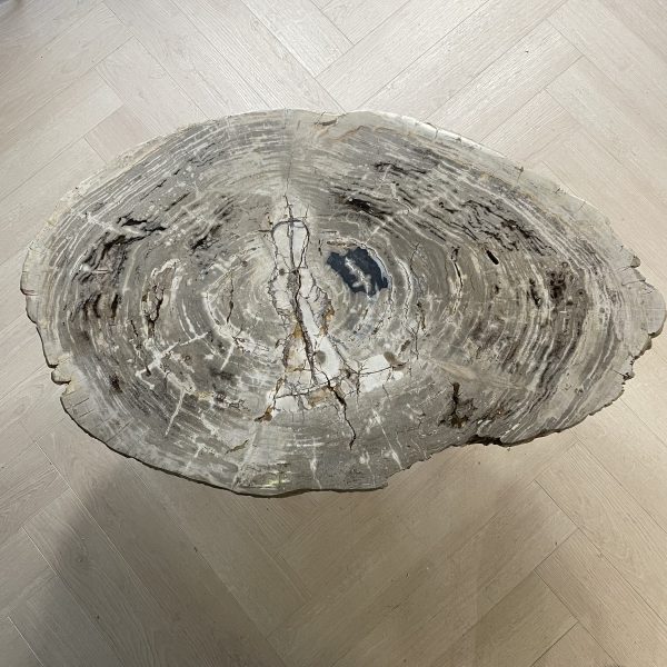Versteend hout salontafel
