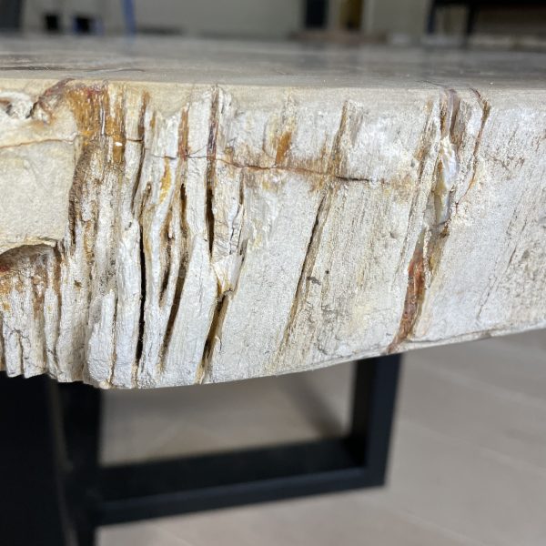 Versteend hout salontafel