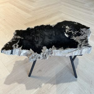 Versteend hout salontafel