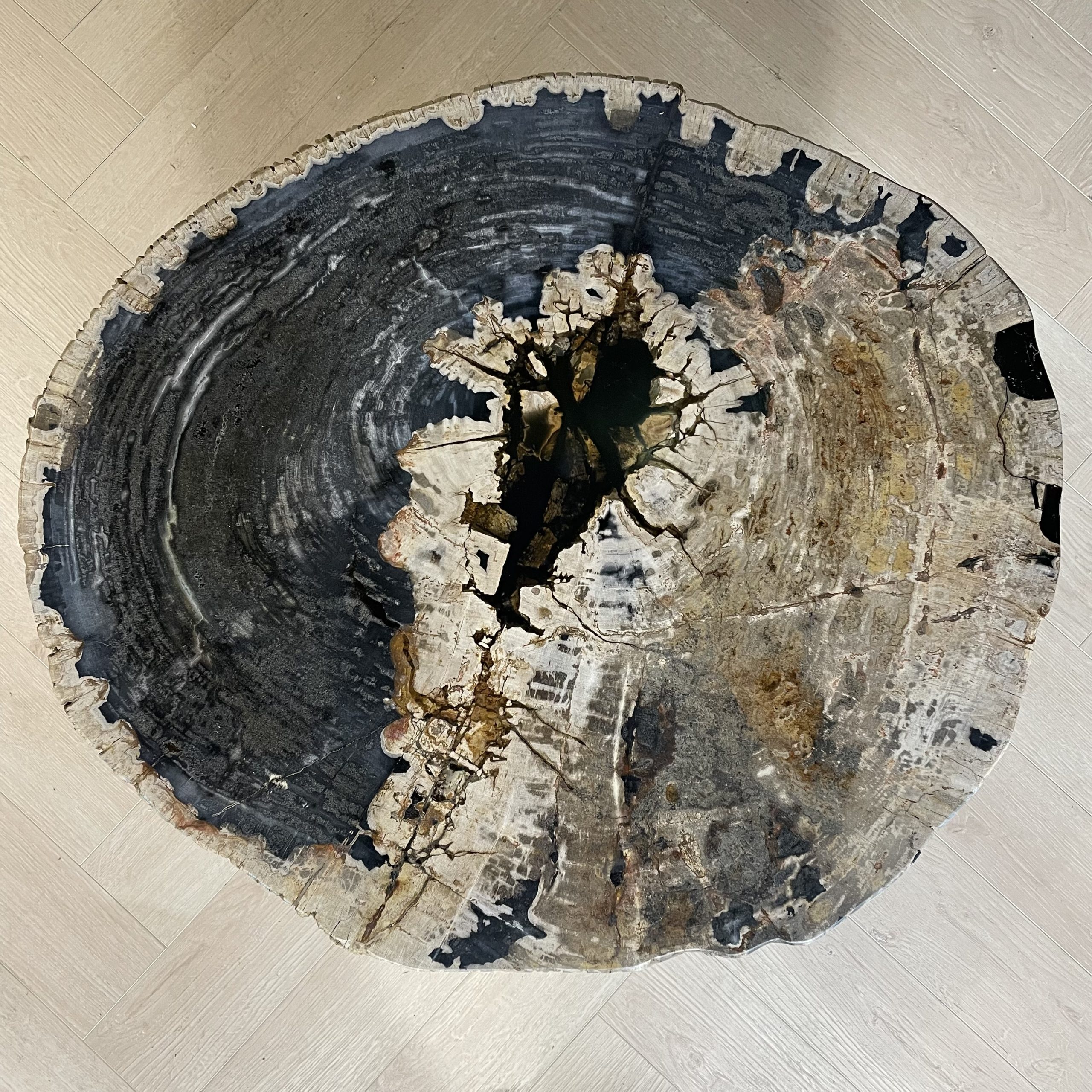 Couchtisch aus versteinertem Holz