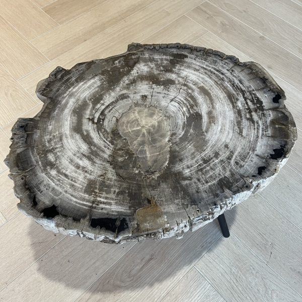 Versteend hout salontafel