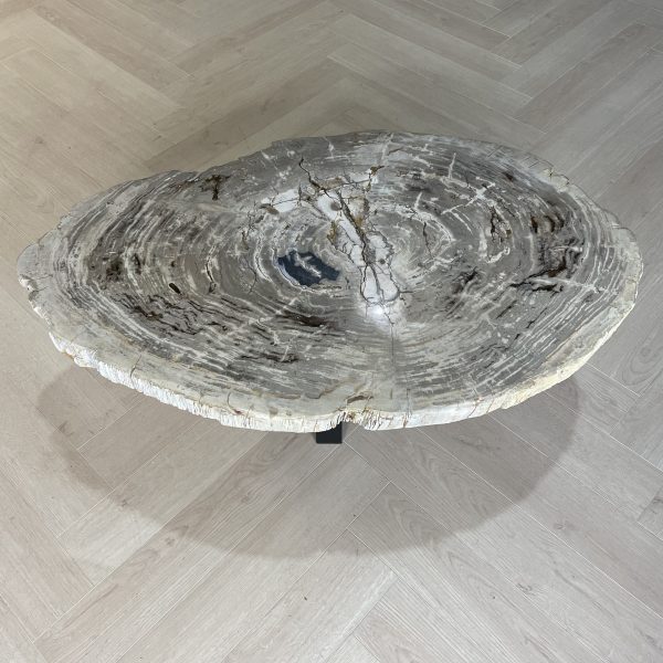 Versteend hout salontafel