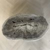 Couchtisch aus versteinertem Holz