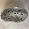 Couchtisch aus versteinertem Holz