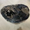 Versteend hout salontafel