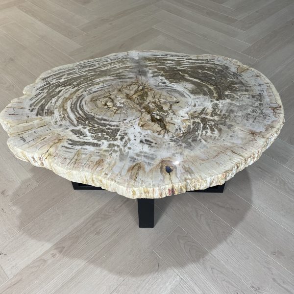 Couchtisch aus versteinertem Holz