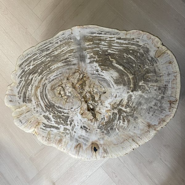 Couchtisch aus versteinertem Holz