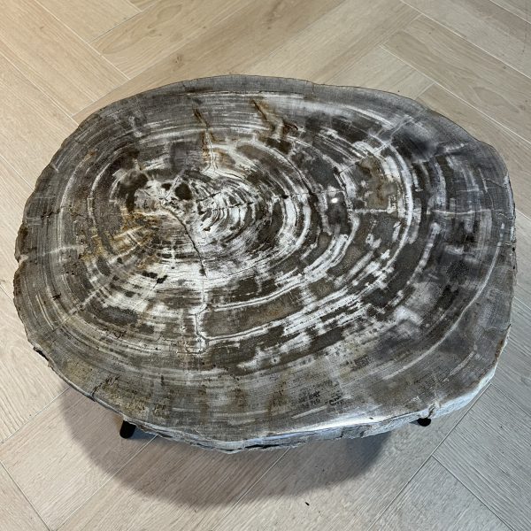 Versteend hout salontafel