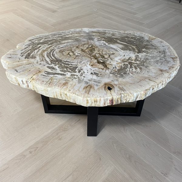 Couchtisch aus versteinertem Holz