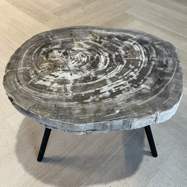 Versteend hout salontafel
