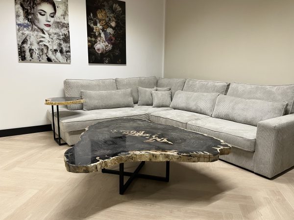 Couchtisch aus versteinertem Holz
