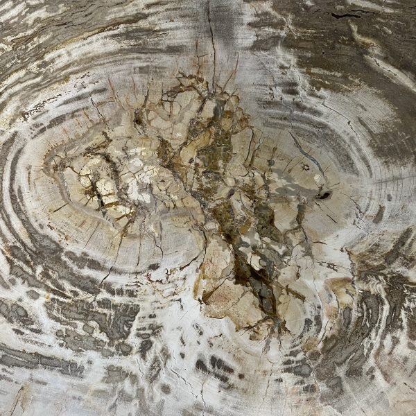 Couchtisch aus versteinertem Holz