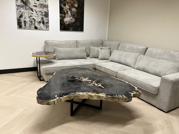 Couchtisch aus versteinertem Holz