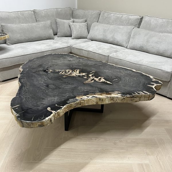 Couchtisch aus versteinertem Holz