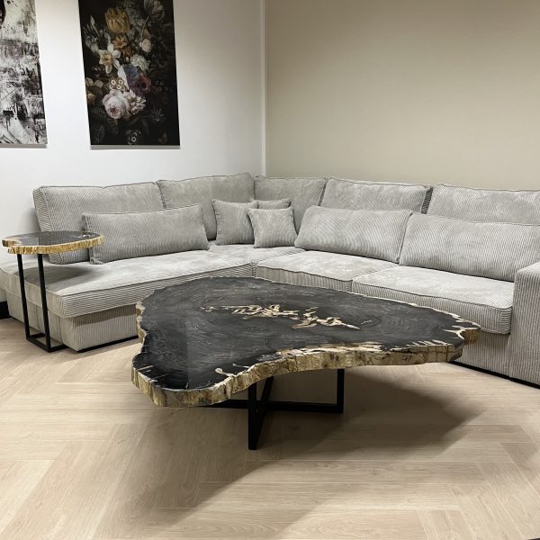 Couchtisch aus versteinertem Holz