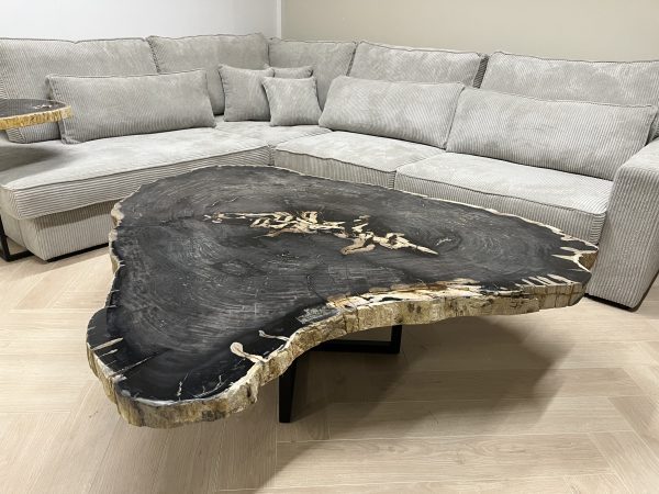 Couchtisch aus versteinertem Holz